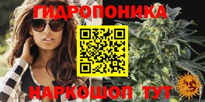 твердый Кимры