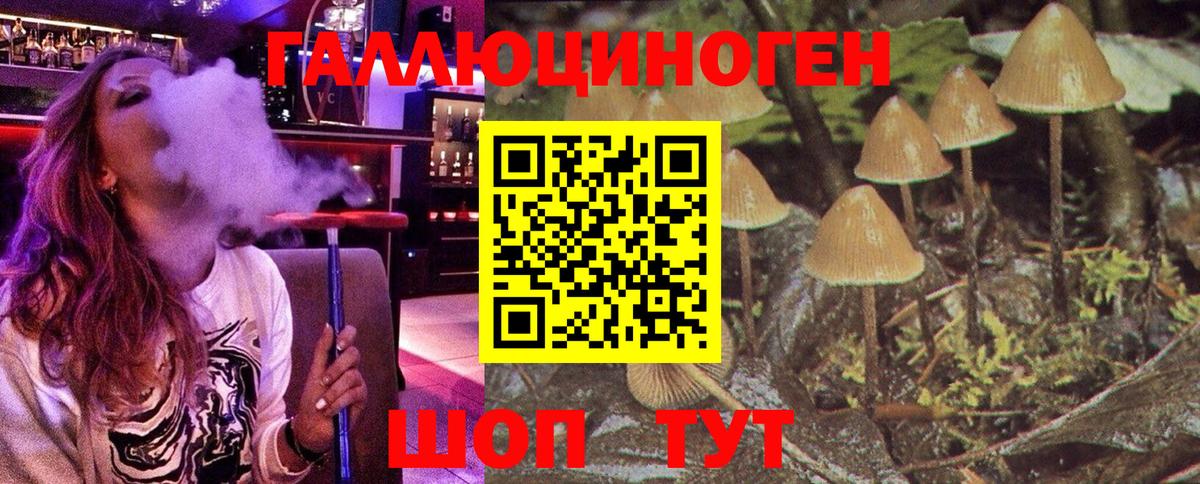 Галлюциногенные грибы мухоморы Красноармейск